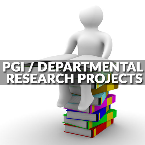 PGI / Departmental Research Projects